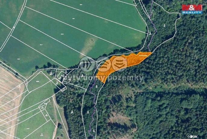 Prodej, Les, Borotice