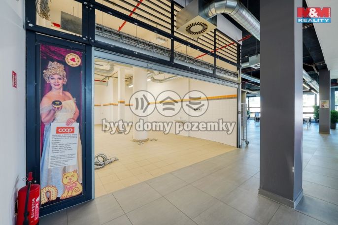 Pronájem, Restaurace, stravování, Plzeň