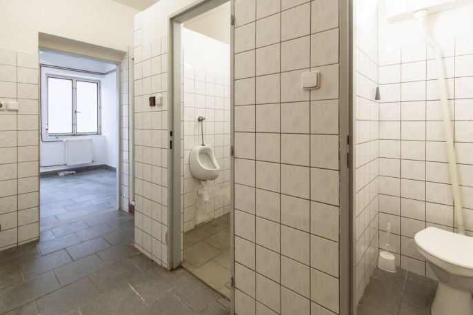 Pronájem, Výrobní objekt, Dnešice