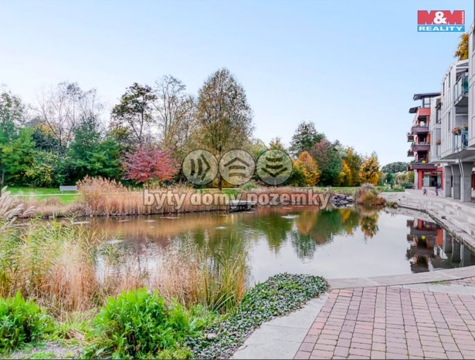 Pronájem, Byt 3+kk, Dolní Břežany