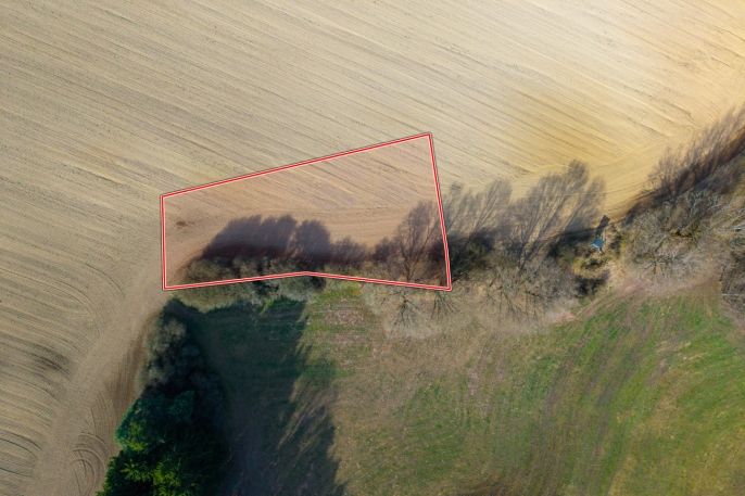 Prodej, Pole, Mohelnice