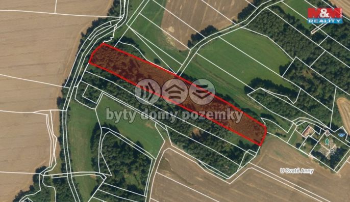 Prodej, Les, Božejov