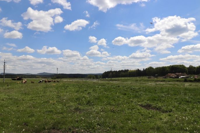 Prodej, Pozemek k bydlení, Kolová