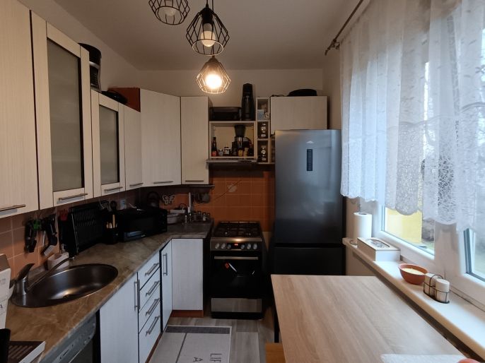 Prodej, Byt 2+1, Karviná