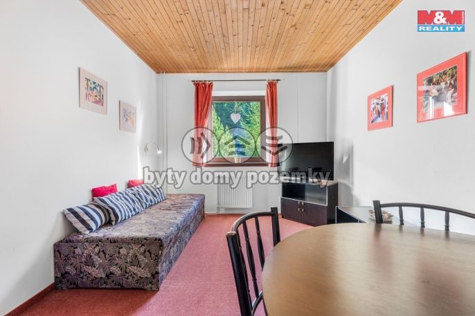 Prodej, Hotel, penzion, Harrachov