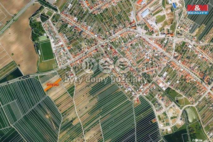 Prodej, Vinice, Hrušky