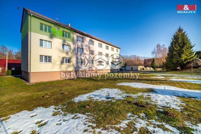 Prodej, Byt 3+1, Čistá