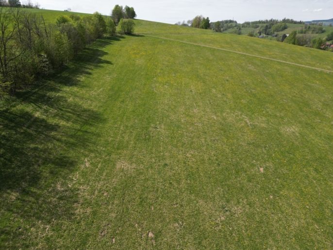 Prodej, Pole, Vysoké nad Jizerou
