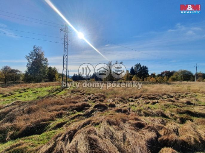 Prodej, Louka, Rumburk