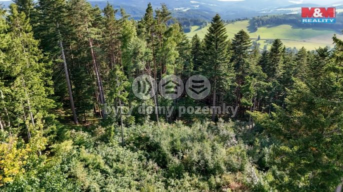 Prodej, Les, Petrovice u Sušice