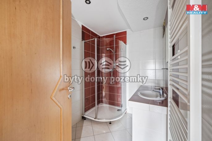 Prodej, Rodinný dům, Borová