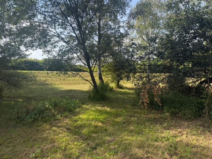 Prodej, Provozní plocha, Ostrava