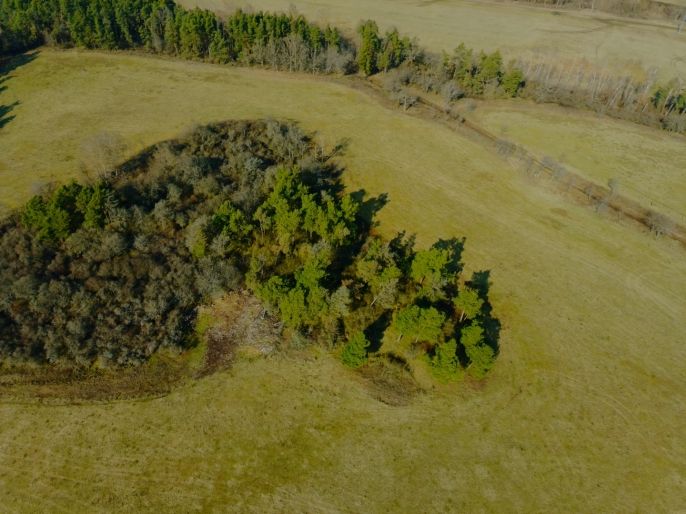 Prodej, Pole, Kladruby