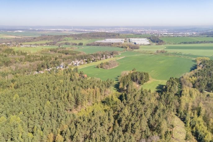 Prodej, Les, Losiná