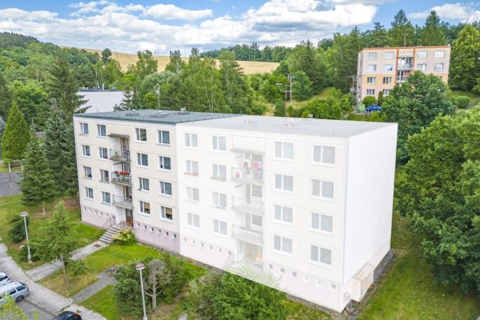 Pronájem, Byt 1+1, Plasy