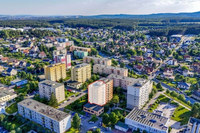Prodej, Byt 1+1, Třemošná