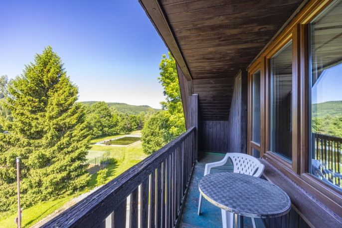 Prodej, Hotel, penzion, Deštné v Orlických horách