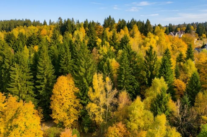 Prodej, Ostatní, Nová Ves nad Nisou