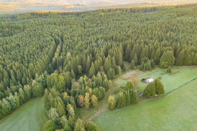 Prodej, Ostatní, Lesná