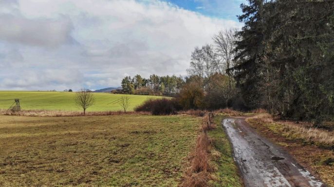 Prodej, Chata, Stříbro