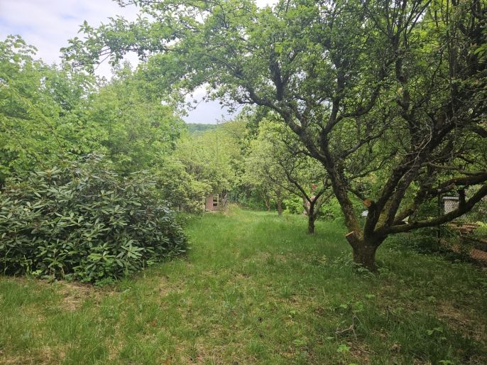 Prodej, Zahrada, Šternberk