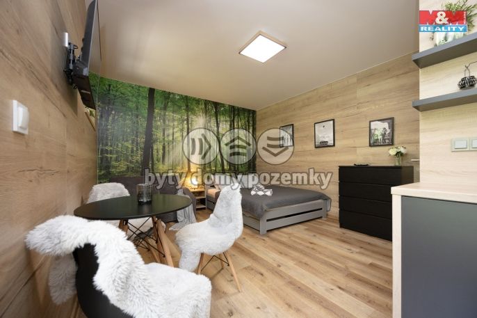 Prodej, Byt 1+kk, Vrbno pod Pradědem