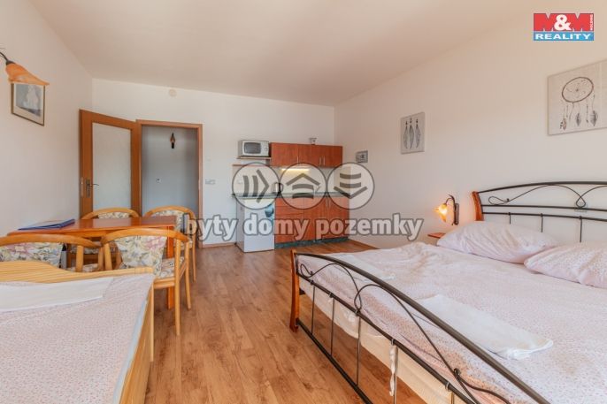 Prodej, Hotel, penzion, Blažejov