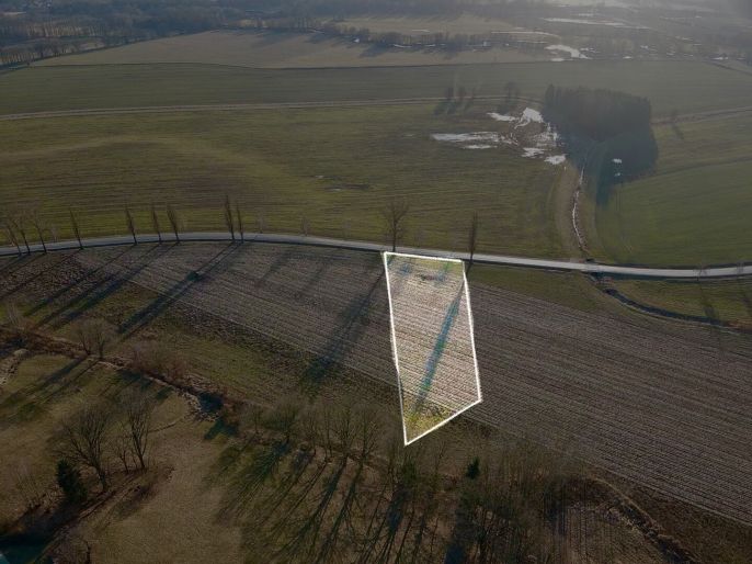 Prodej, Pole, Bošín