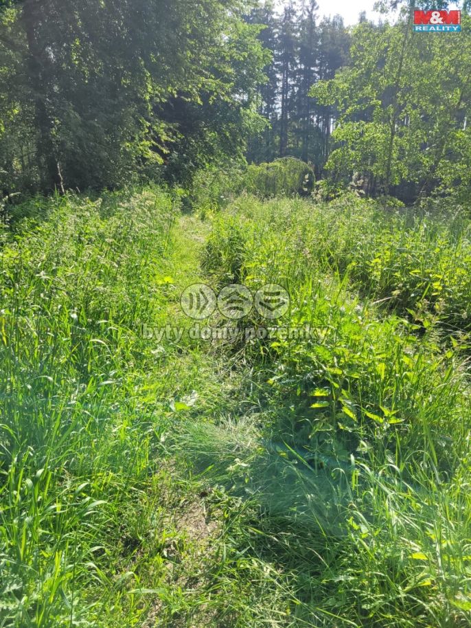 Prodej, Vodní plocha, Toužim