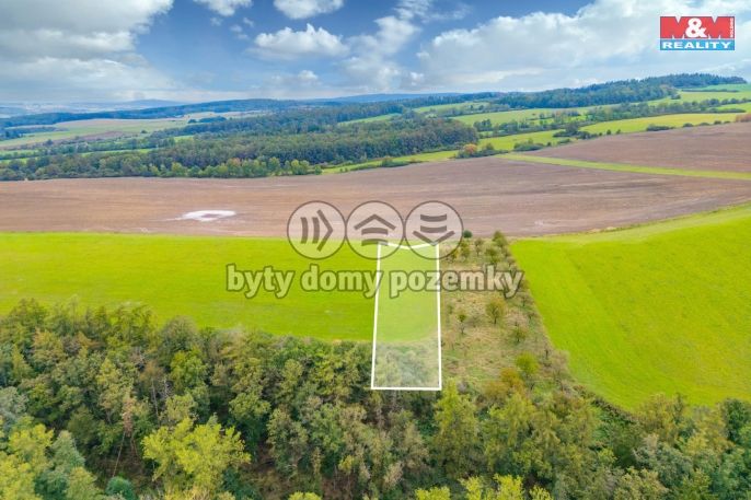 Prodej, Louka, Spálené Poříčí