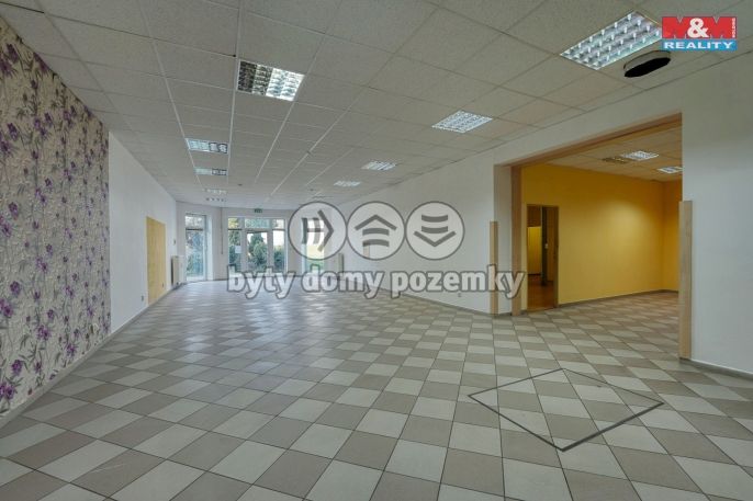 Pronájem, Obchod a služby, Třemošná