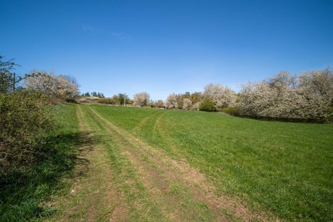 Prodej, Pozemek k bydlení, Břasy