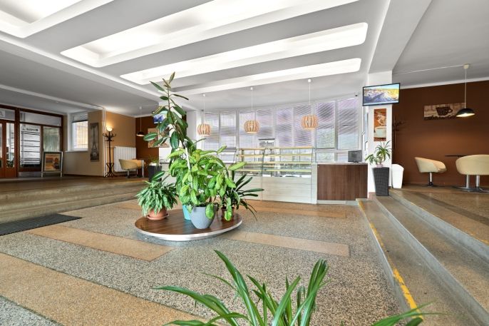 Pronájem, Obchodní objekt, Ostrov