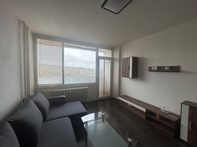 Pronájem, Byt 1+kk, Ústí nad Labem