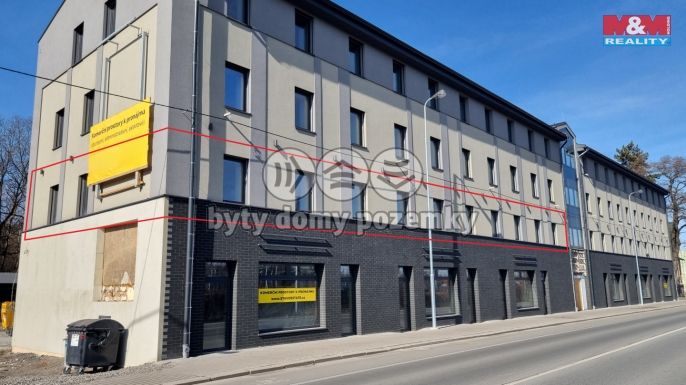 Pronájem, Kancelářský prostor, Český Těšín