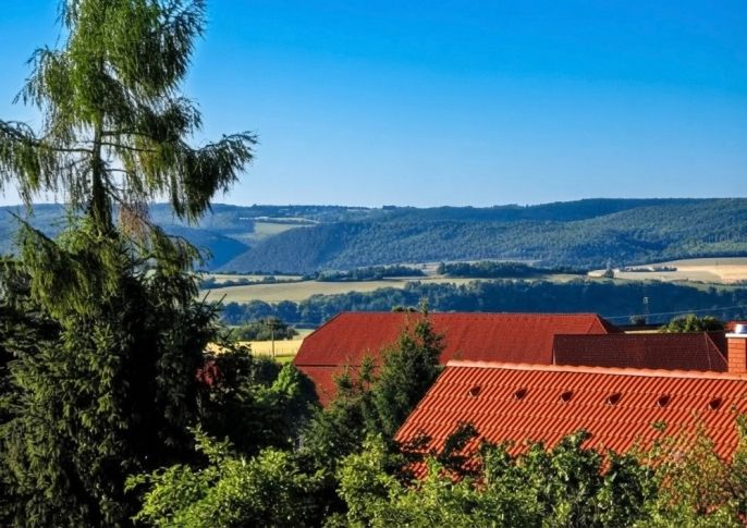 Prodej, Chata, Svinaře