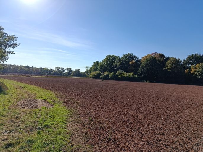 Prodej, Louka, Konárovice
