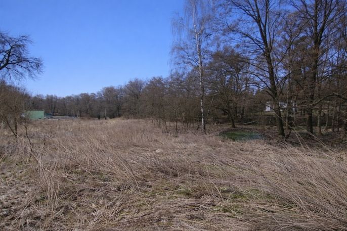 Prodej, Pozemek k bydlení, Velemín