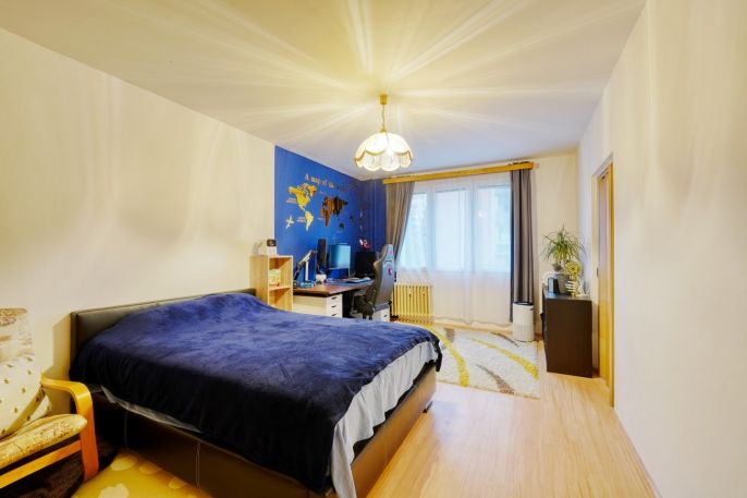 Prodej, Byt 2+1, Plzeň