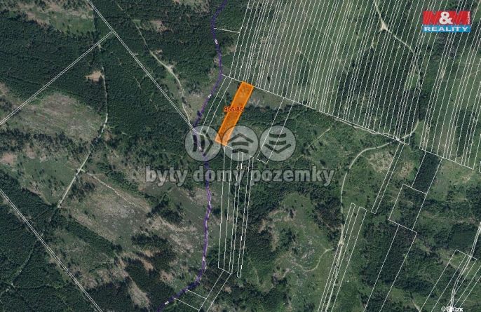 Prodej, Les, Nová Hradečná