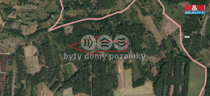 Prodej, Les, Jetětice