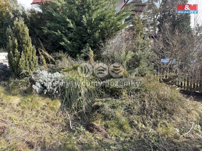 Prodej, Chata, Stříbrná Skalice