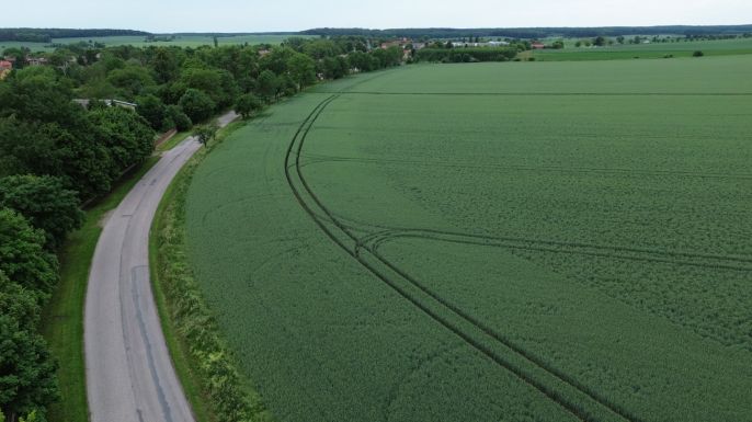 Prodej, Pole, Záhornice