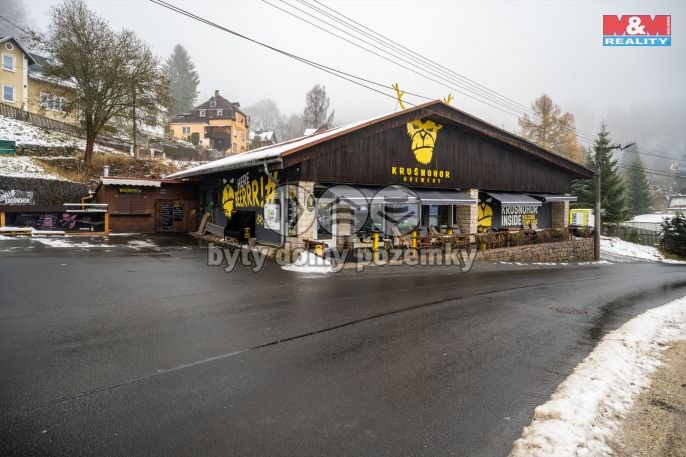 Prodej, Obchodní objekt, Kraslice