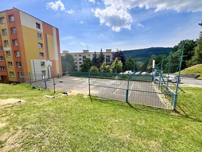 Pronájem, Byt 1+1, Děčín