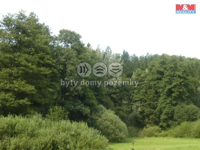 Prodej, Les, Vysoká Srbská