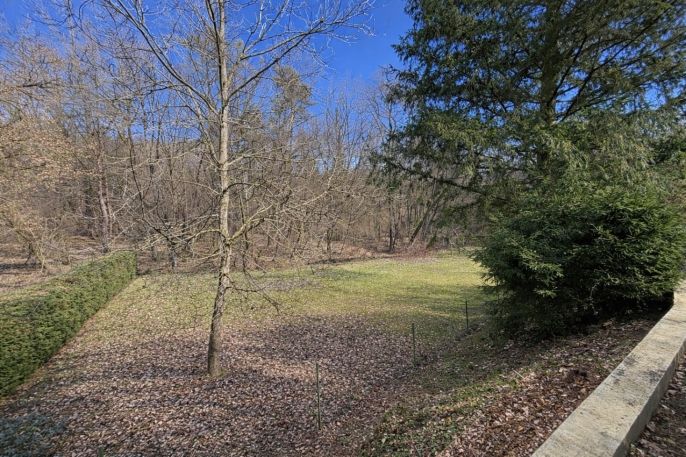 Prodej, Chata, Nový Jáchymov