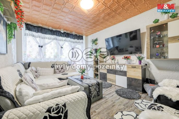 Prodej, Byt 2+1, Bor