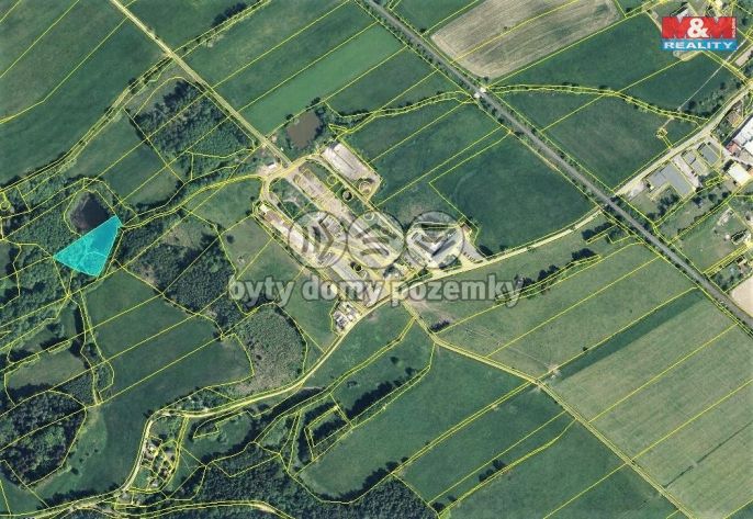 Prodej, Louka, Dolní Brusnice