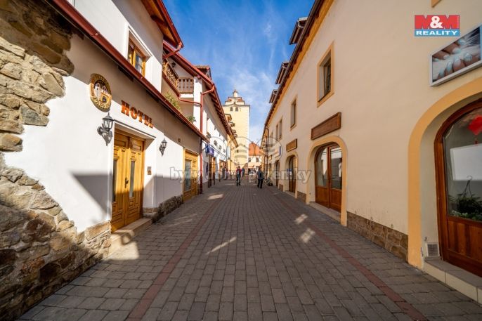 Pronájem, Byt 1+kk, Beroun